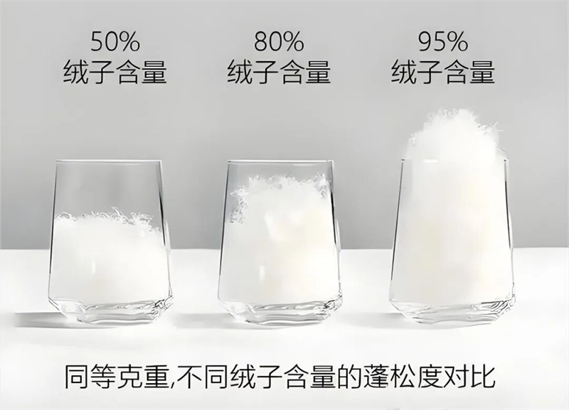 圖片1.jpg