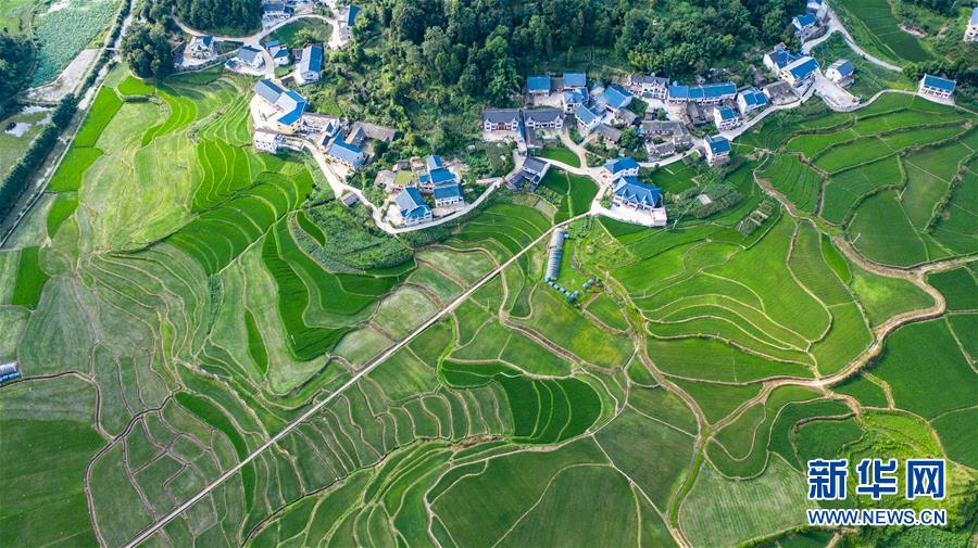 (走向我們的小康生活·圖文互動)(2)紅色圣地的“初心答卷”——革命老區(qū)遵義肝膽相照寫征程