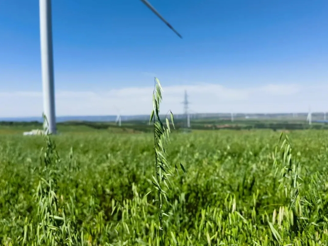 1756862238176137.jpg 微信截圖_20250903091652.jpg